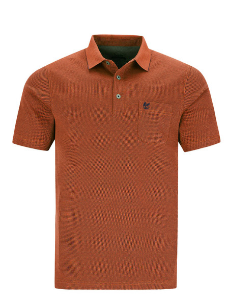Polo HAJO