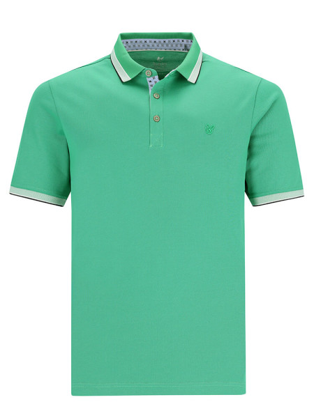 Polo HAJO