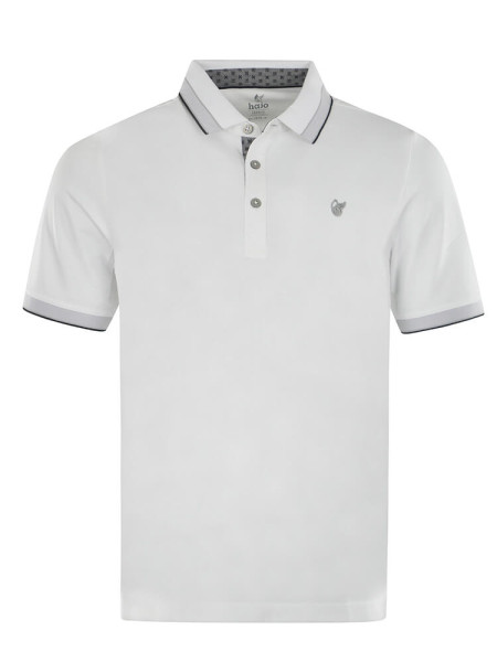 Polo HAJO